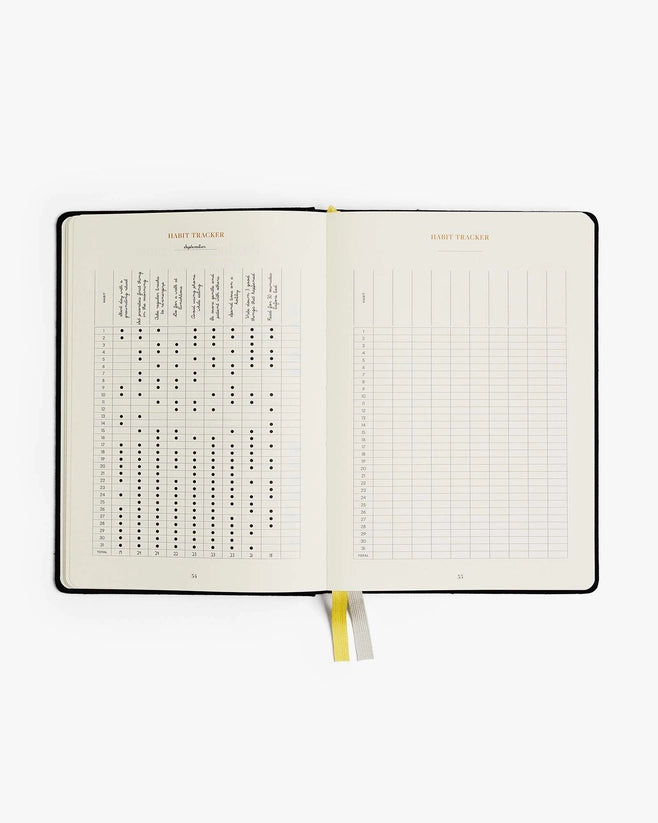 Productivity Planner by Intelligent Change Australia