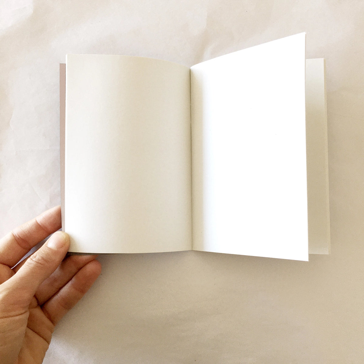 Inside view of blank daydream  notebook pages