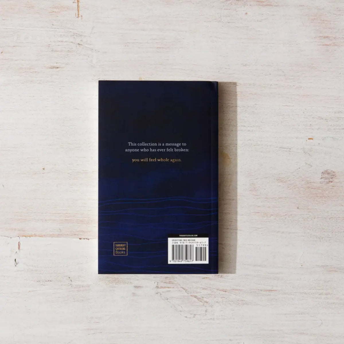 You Will Feel Whole Again Book_Luna &amp; Soul 