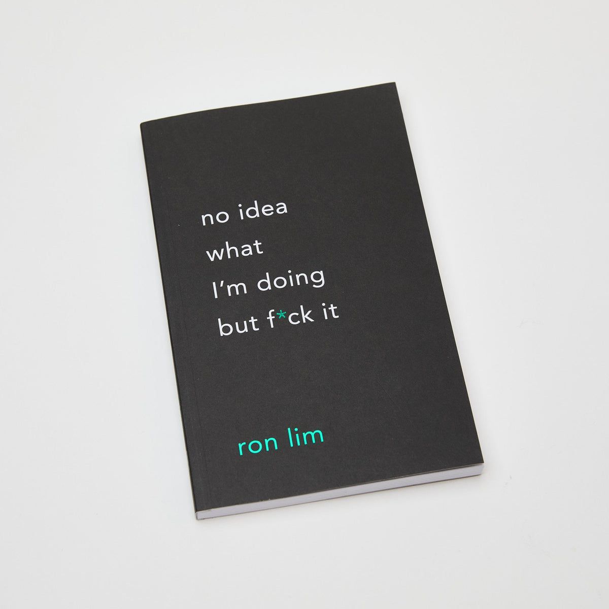 No Idea What I&#39;m Doing But F*Ck It