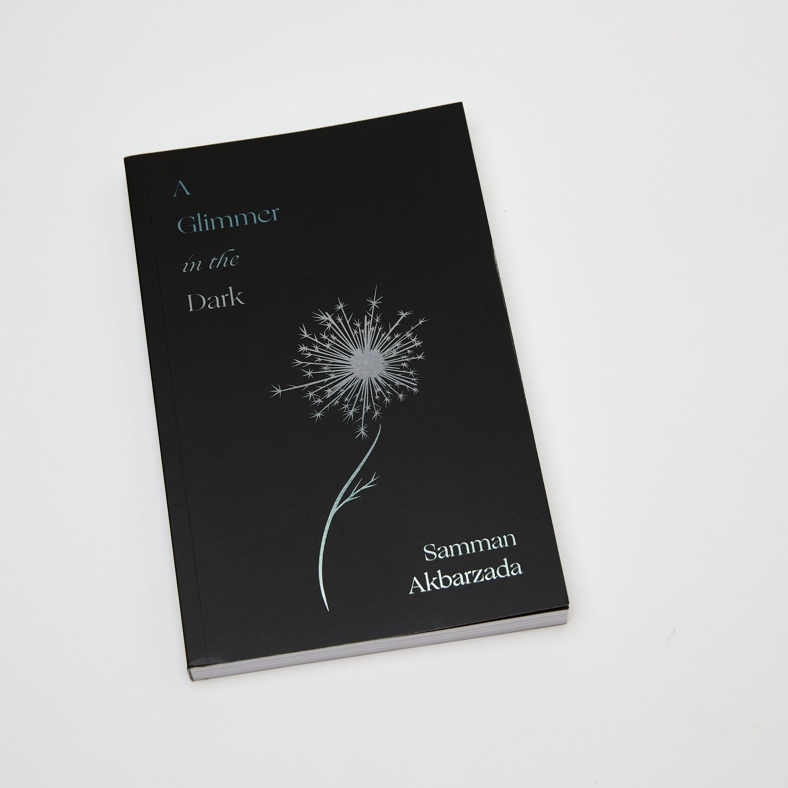 A Glimmer In The Dark Book Australia