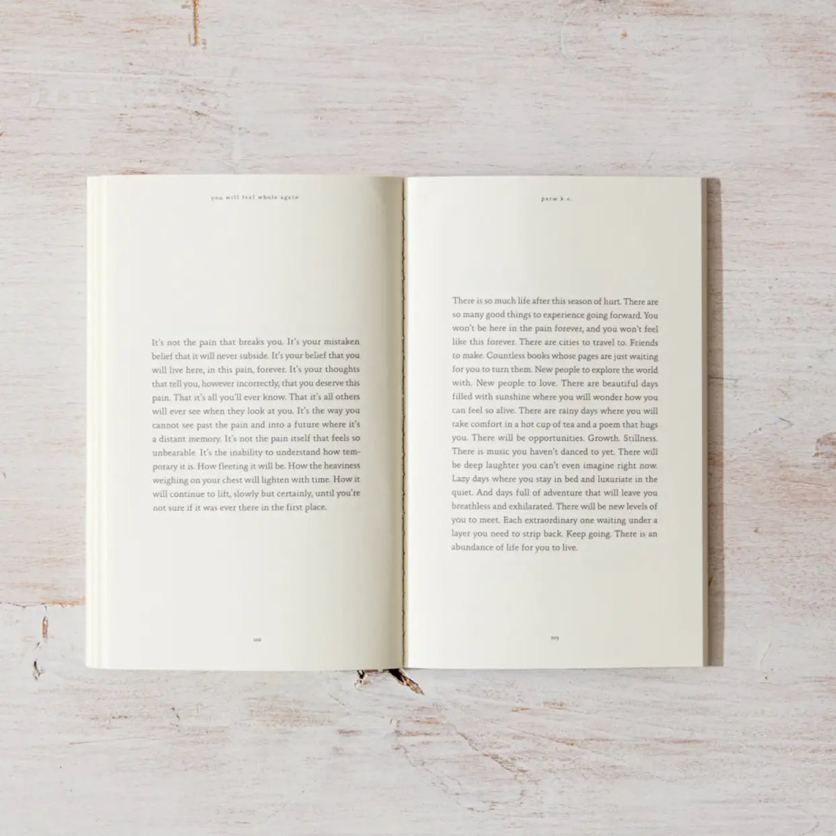 You Will Feel Whole Again Book_Luna &amp; Soul 