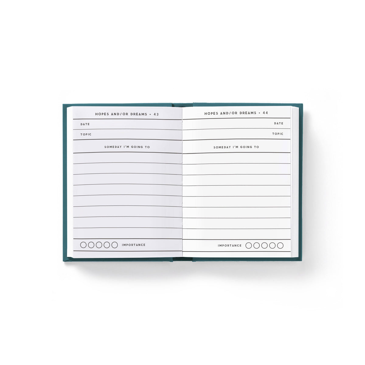 Tiny Hopes and Dreams Diary