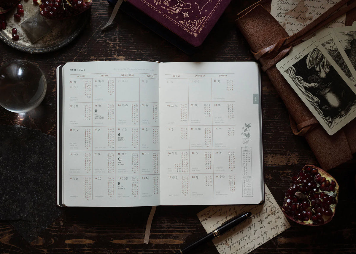 2026 Astrological Planner | White