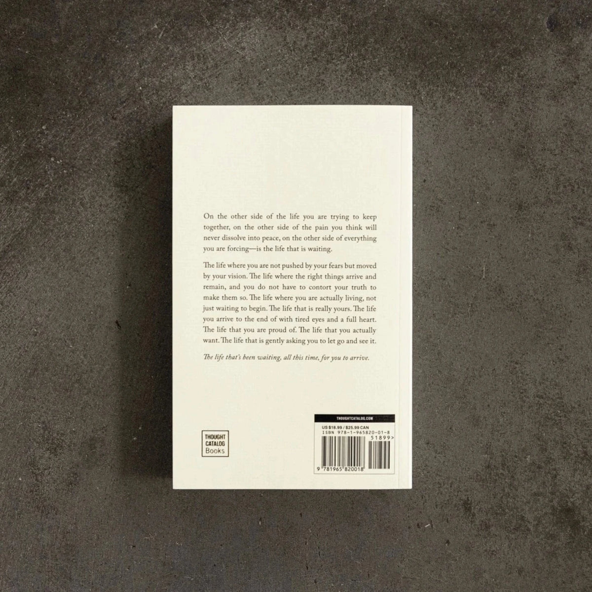 The Life That&#39;s Waiting By Brianna Wiest Book Luna &amp; Soul Australia 