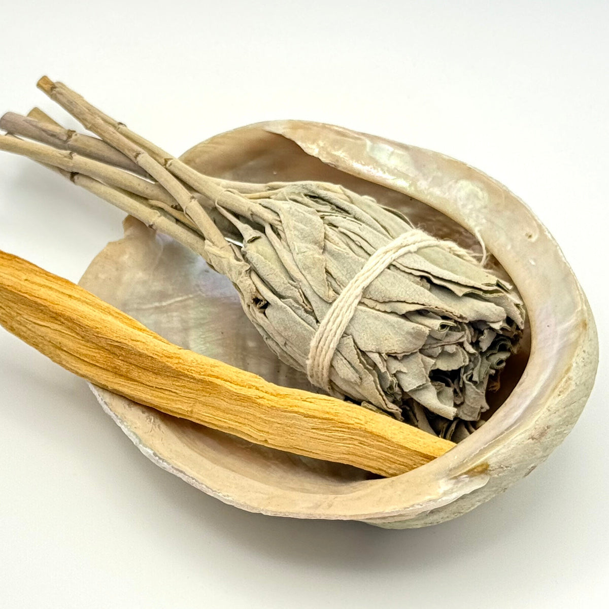 Abalone Smudge Bowl | Kit Lux Small