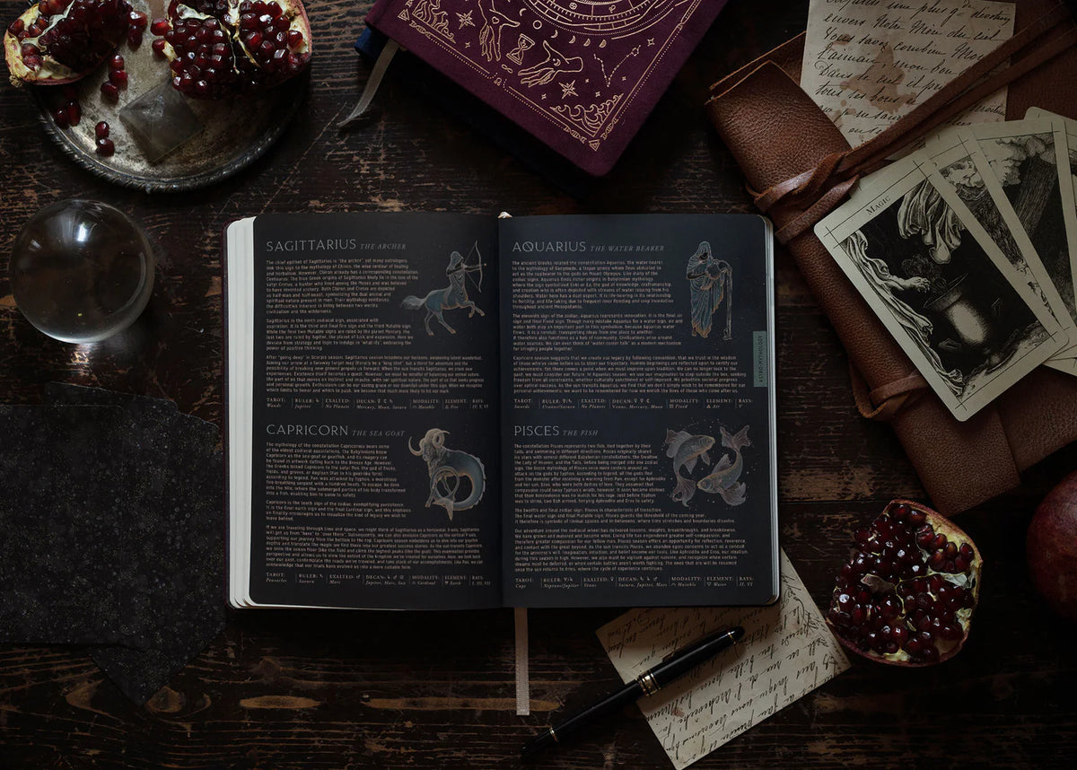 Black astrology pocket planner 2026 pages detail from Magic of I