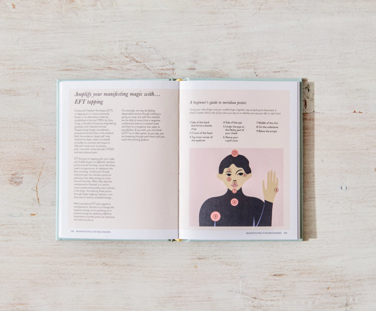 Manifesting For Beginners Book _Luna and Soul