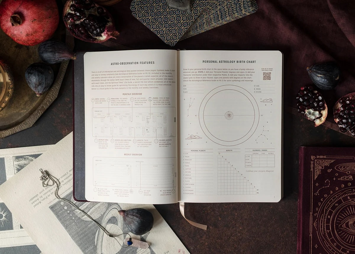 Interior pages of Magic of I 2027 Astrological Planner.
