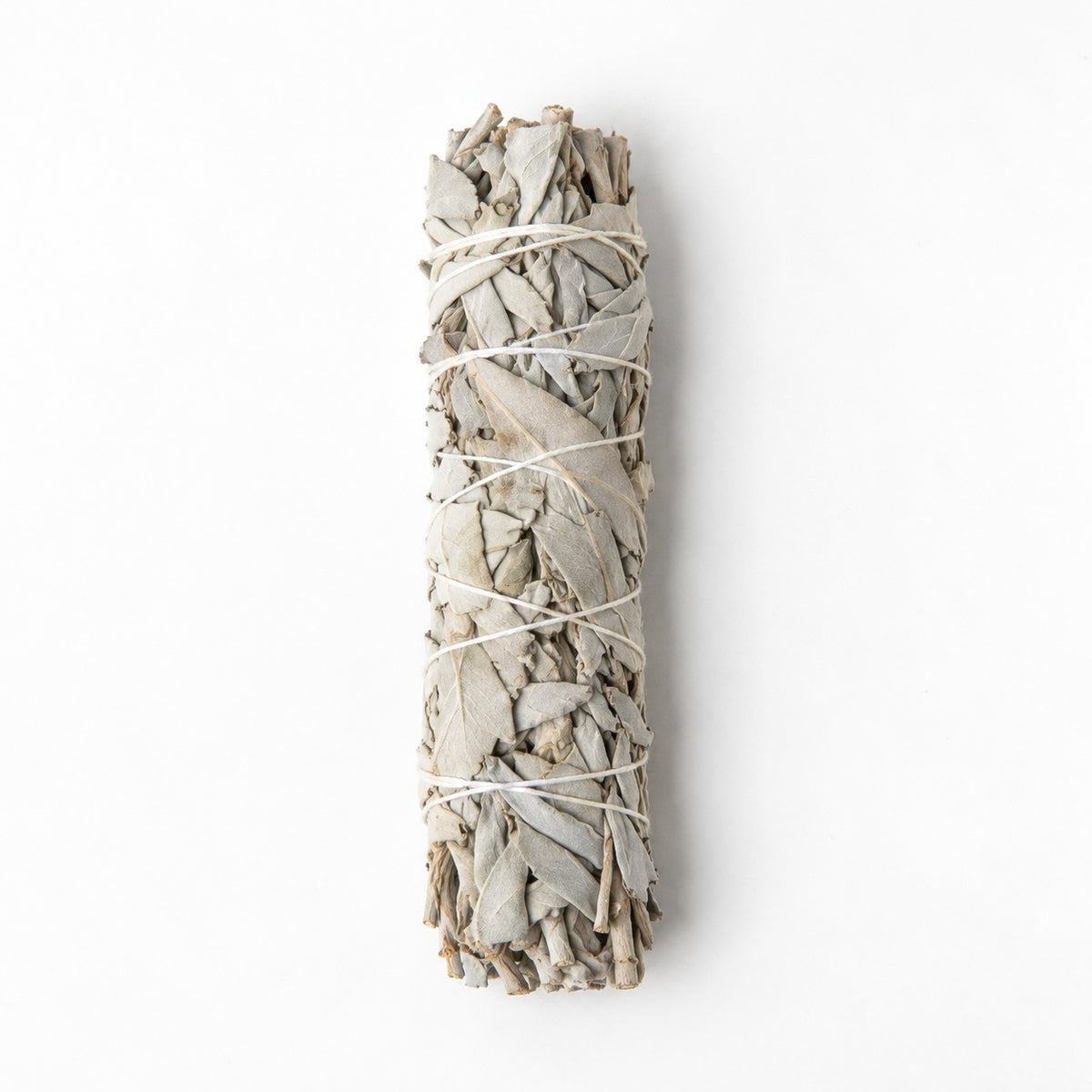 Medium California white sage smudge stick approximately 15 cm long.