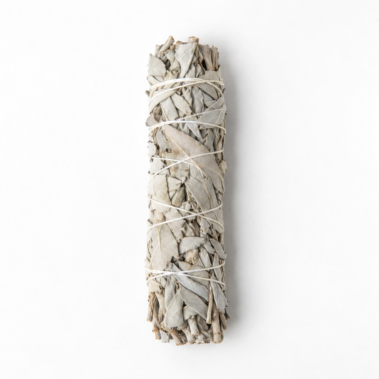 Medium California white sage smudge stick approximately 15 cm long.