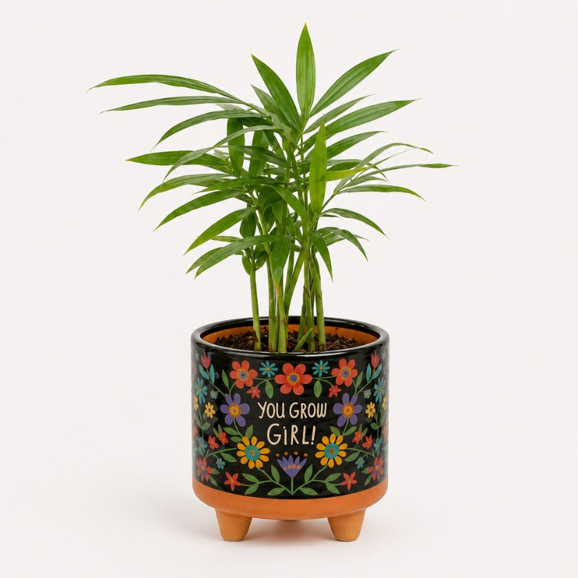 Black ceramic plant pot with colourful floral illustrations, “You Grow Girl!” quote and raised feet.