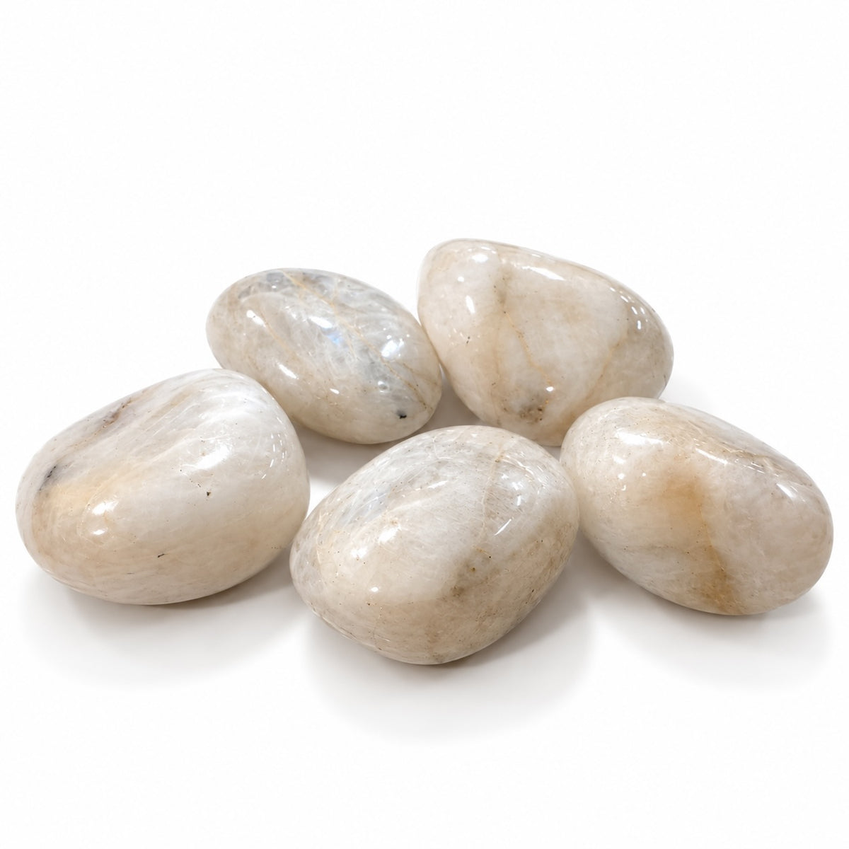 Polished Moonstone tumble stones with soft white tones and natural shimmer.