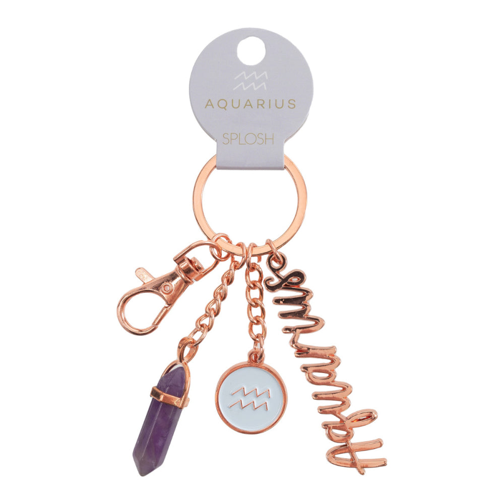 Aquarius Keychain _ Zodiac Keyring _ Luna &amp; Soul