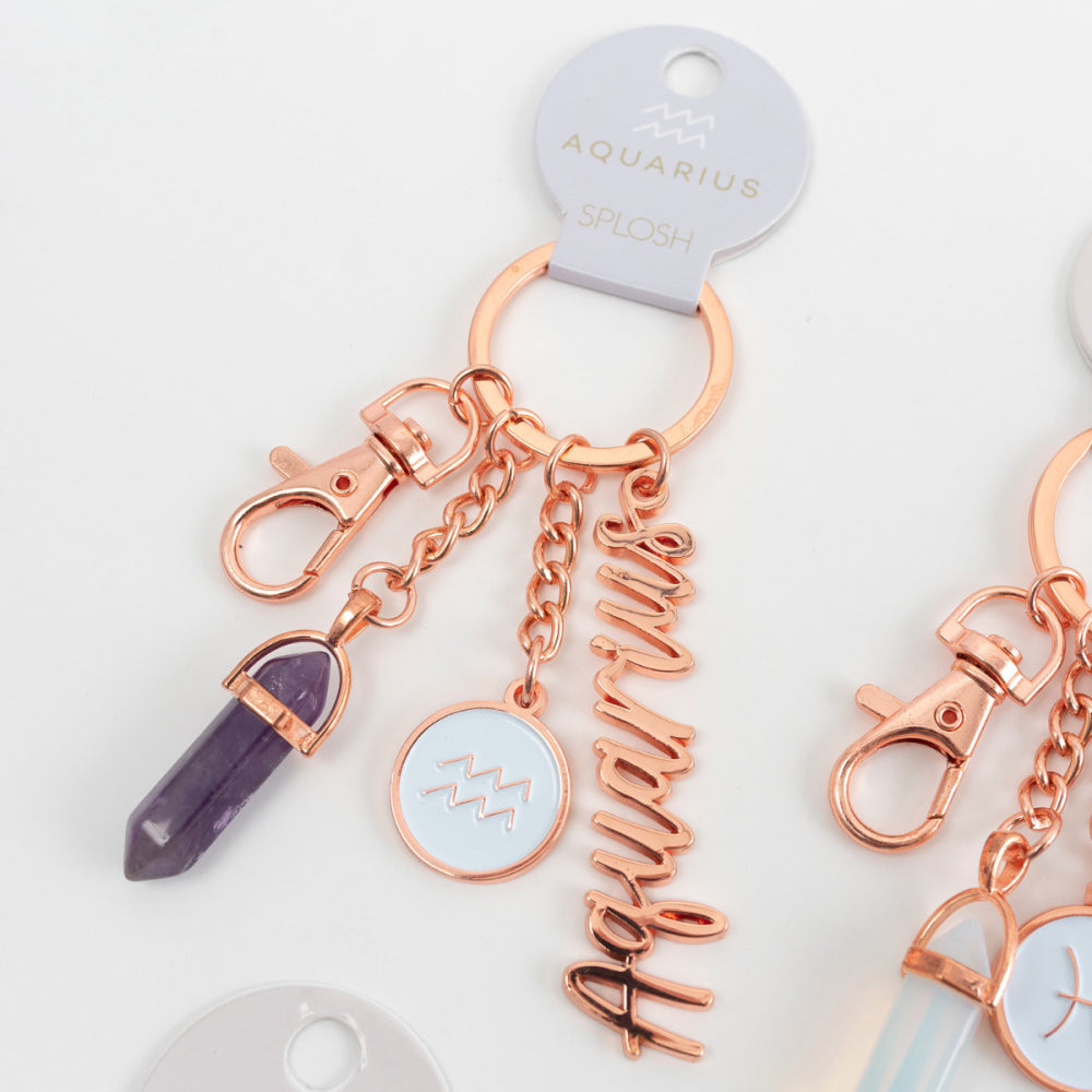 Aquarius Keychain _ Zodiac Keyring _ Luna &amp; Soul