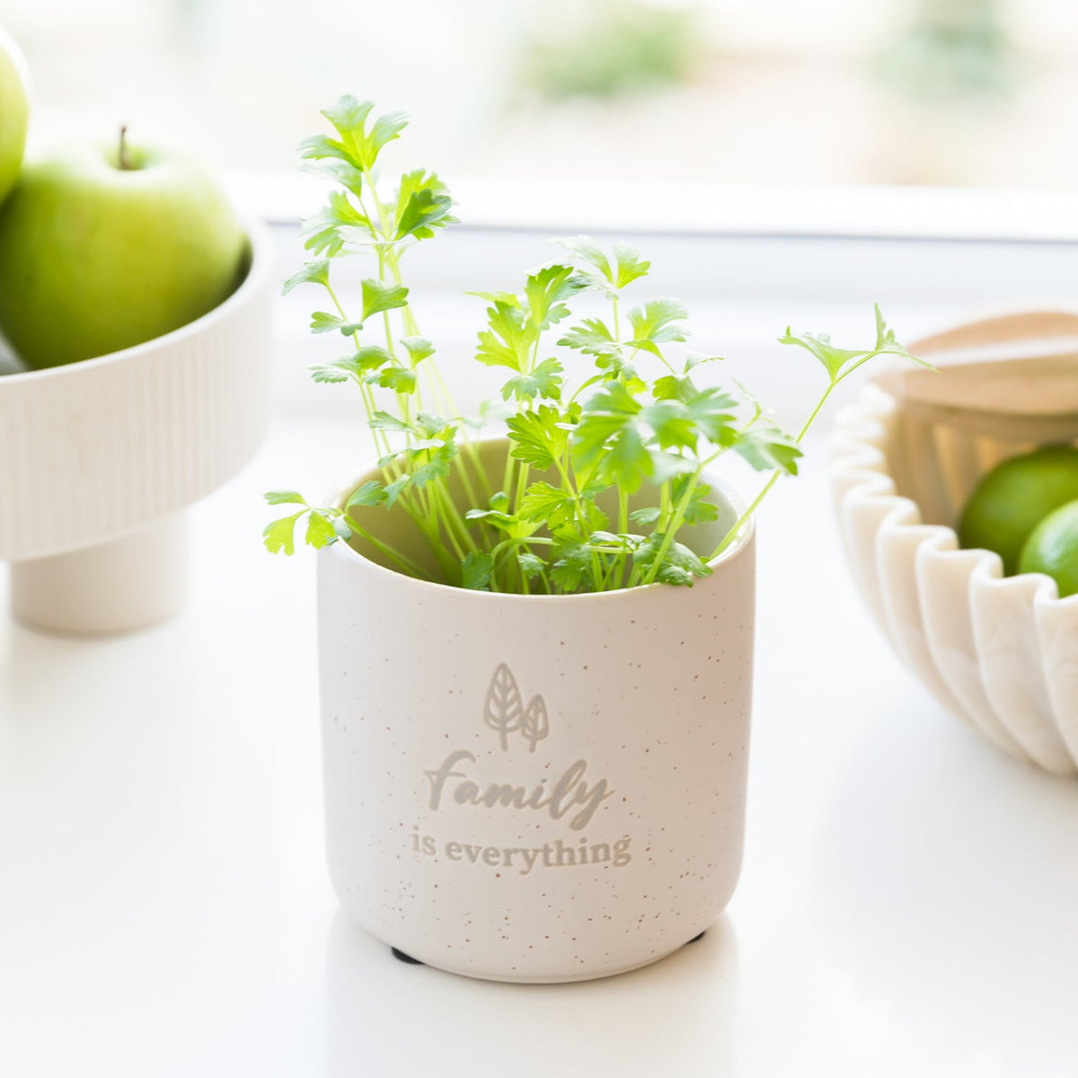 Family Positive Plant Pot