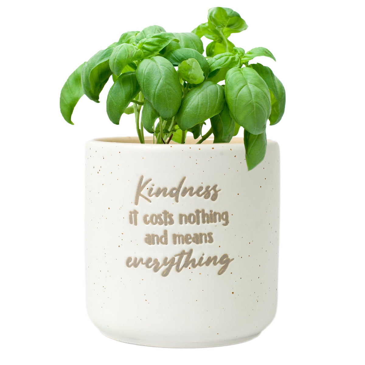 Kindness Positive Plant Pot