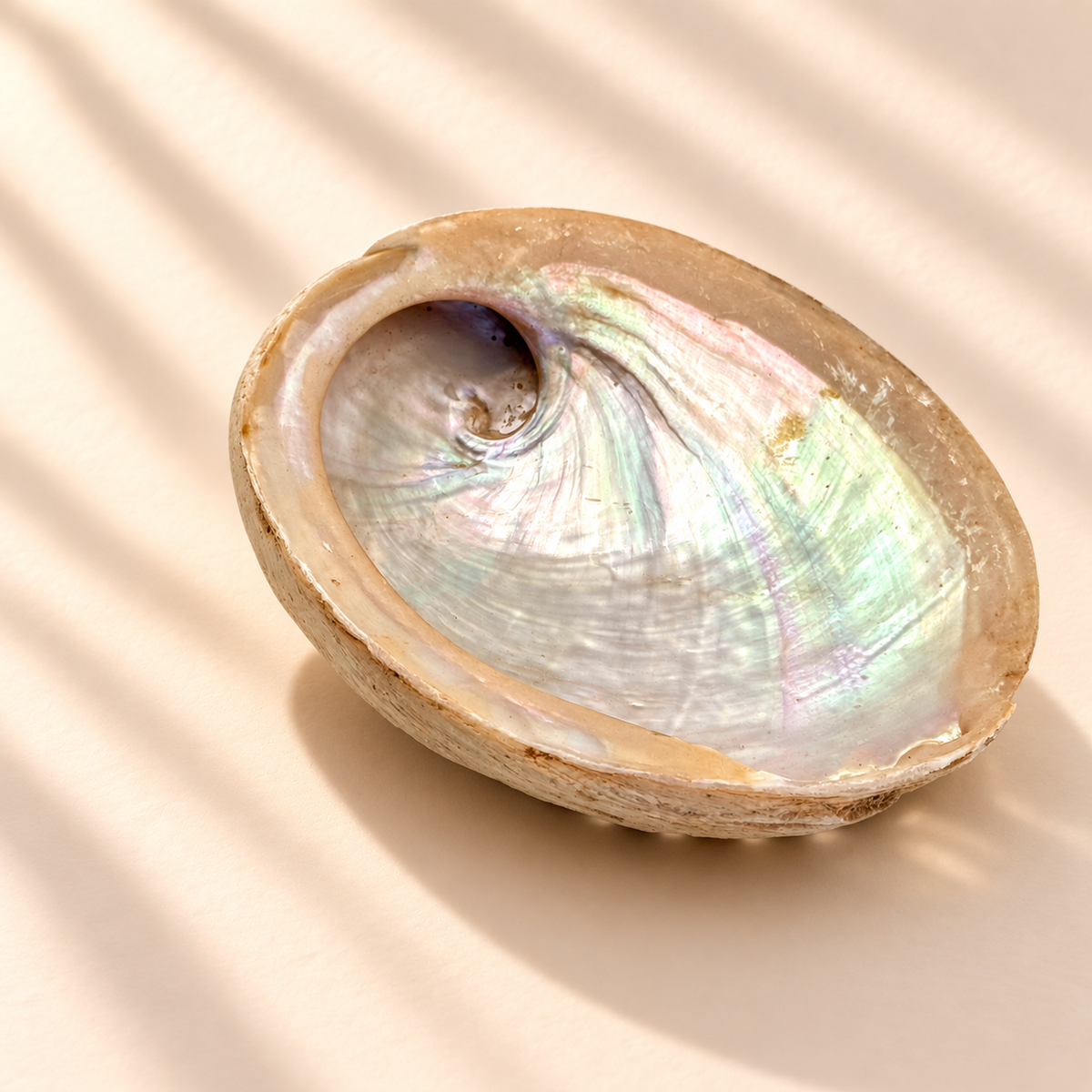 Natural abalone shell smudging bowl with an iridescent mother-of-pearl interior reflecting soft green, pink and pearl tones, displayed on a warm cream background.