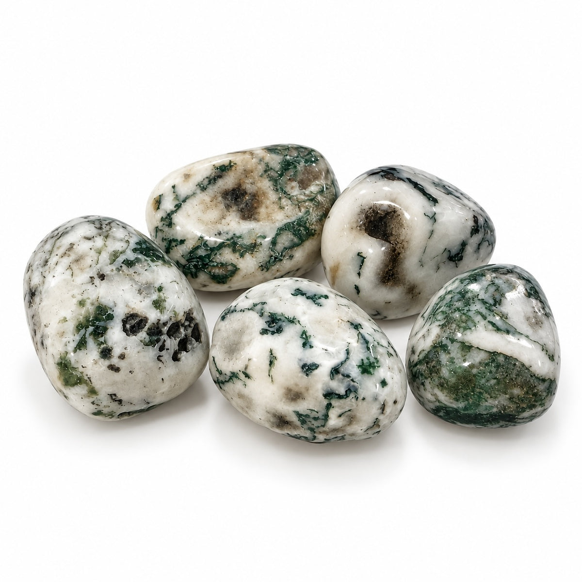 Polished Tree Agate tumble stone with green branch-like markings.