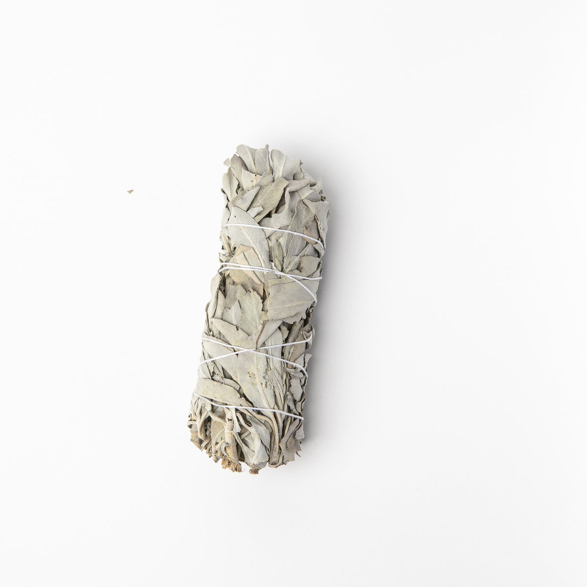 Large White Sage Smudge Stick South Melbourne Market Luna &amp; Soul